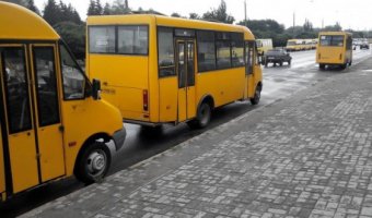 ДФС виявила у перевізників порушень на 66 мільйонів