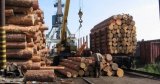 Гройсман обещает отчет о борьбе с контрабандой леса уже в сентябре