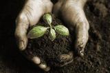 Украине потребуется 3-5 лет для завершения комплексной земельной реформы - эксперт