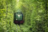 На майские праздники УЗ назначила три дополнительных региональных поезда