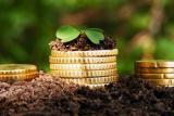Депутати пропонують скасувати мораторій на землю до 2020 року