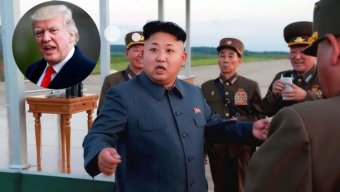 В США опасаются биологического оружия Северной Кореи
