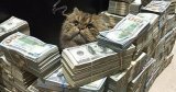 Instagram запустив платежі всередині програми