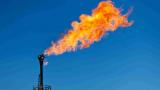 Ми не вводимо жодних нових податків на видобуток газу для комерційних потреб -  Олена Макеєва