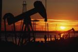 Світові ціни на нафту 18 червня знижуються
