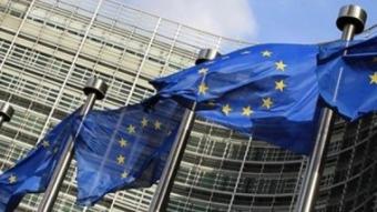 Нидерланды полгода будут изучать данные референдума по Украине