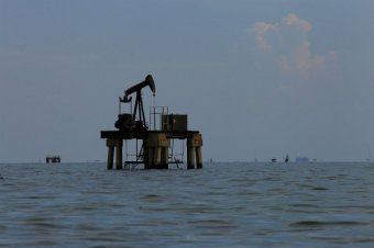 Новак назвал долю РФ в общем увеличении добычи нефти стран ОПЕК+