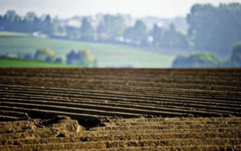 Структура ООН запустить в Україні проект відновлення якості ґрунтів