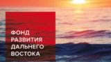 Фонд развития Дальнего Востока готов финансировать российско-японские проекты