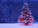 НБУ пояснює ослаблення гривні наближенням Нового року