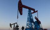 Нафта дешевшає через надлишок пропозицій