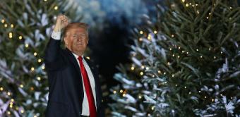 Трамп сам напишет инаугурационную речь &ndash; СМИ