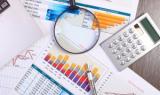 PMI of Processing Industries of Russian Economy Becomes Maximum for Three Months