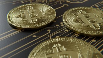Биткоин побил отметку 10 тысяч, большинство криптовалют дешевеет