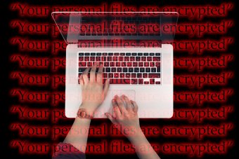 Волна кибератак из РФ может затронуть Украину