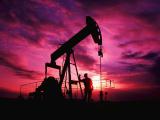 Світові ціни на нафту 25 серпня показують різноспрямовану динаміку