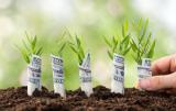 Робоча група по земельній реформі обговорює продаж госземель як перший етап запуску ринку