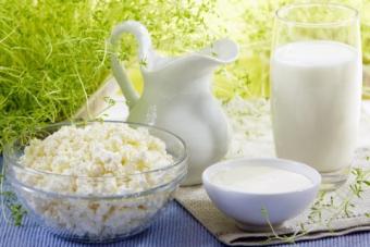 Ukraine Starts to Export Dairy Products to EU