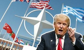Трамп примет участие в саммите НАТО 25 мая