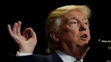 Чутки про Трампа покращили життя акул