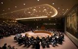 Kyiv: UNSC Supports Ukraine