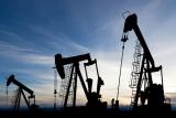 Крупнейшая нефтяная компания мира впервые опубликует финансовую отчетность