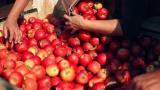 ЄС розширить квоти для сільгосппродукції з України