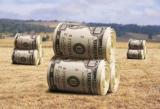 Інвестиції в аграрний сектор зросли на 60%