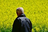 Вартість землі в Україні може зрости втричі після скасування мораторію &mdash; Світовий банк