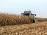 Україна побила історичний рекорд зі збору зернових