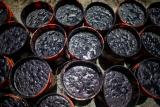 Укртранснафта договорилась о поставках нефти в Венгрию