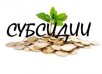 Сколько Украина потратила на субсидии в 2016 году