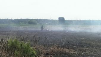 Під Києвом знову зафіксовано загоряння торфовищ