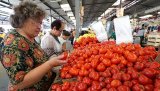 Возвращение турецких помидоров: Россия отменила запрет на их импорт