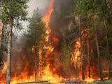 В нескольких местах возгорания в Чернобыле зафиксирован повышенный уровень радиоактивного фона