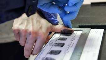 В &laquo;Единой России&raquo; предложили ввести дактилоскопию для всех въезжающих в Россию иностранцев