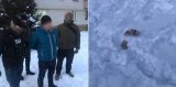 Правоохоронці затримали на хабарі співробітника патрульної поліції Київської області
