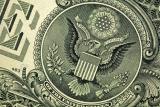 Міжбанк відкрився доларом по 25,91