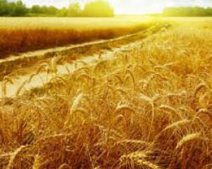 Cabinet sets a 6.9% fee for grain producers&rsquo; budgetary borrowings