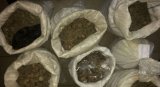 У Рівному поліція вилучила майже 140 кг бурштину