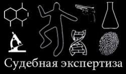 Судебные эксперты будут проходить стажировку в Минюсте раз в три года
