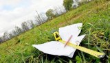 Гройсман відсторонив та пригрозив посадити главу земельного кадастру