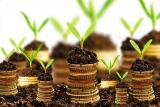 Іноземні інвестиції в Україну зросли на 17%