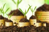 Нацбанк: Інвестиції в Україну перевищать два мільярди доларів