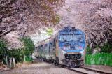Укрзалізниця призначила 6 додаткових поїздів на травневі свята