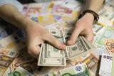 Foreign exchange market indicators as at July 22, 2016