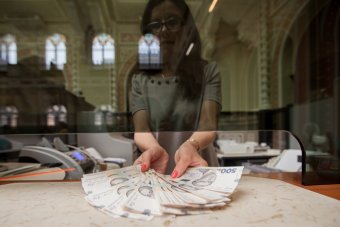 НБУ відзвітував про скорочення обсягу готівки