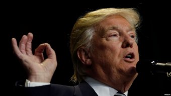 Слухи о Трампе улучшили жизнь акул