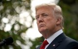 Трамп: Я дуже розумна людина