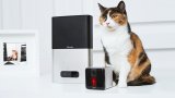 Український стартап Petcube отримав ще 10 мільйонів доларів фінансування
